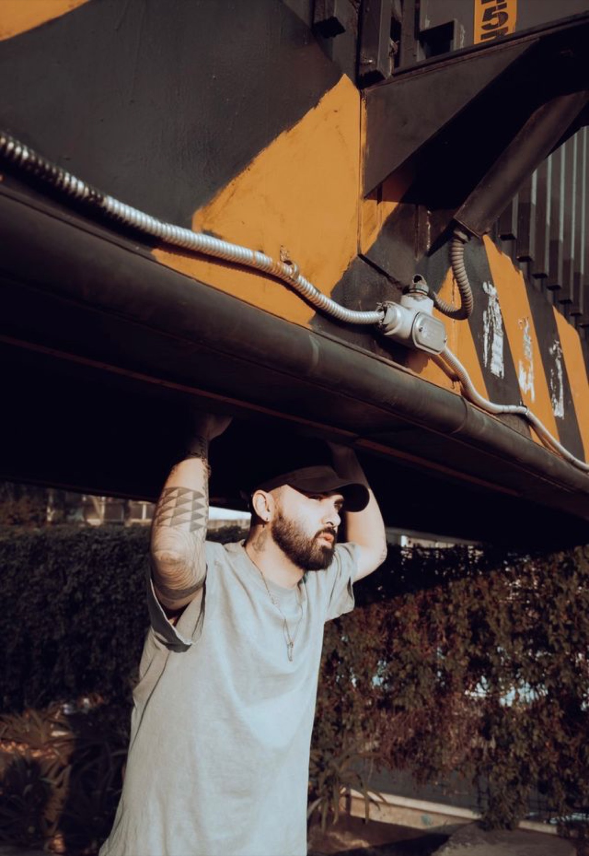 Louie Fresco